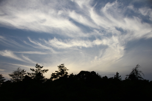 d0158028_19582718.jpg
