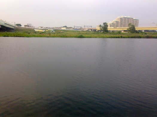 d0013834_2247487.jpg