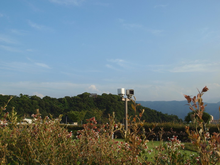 d0241937_19514294.jpg