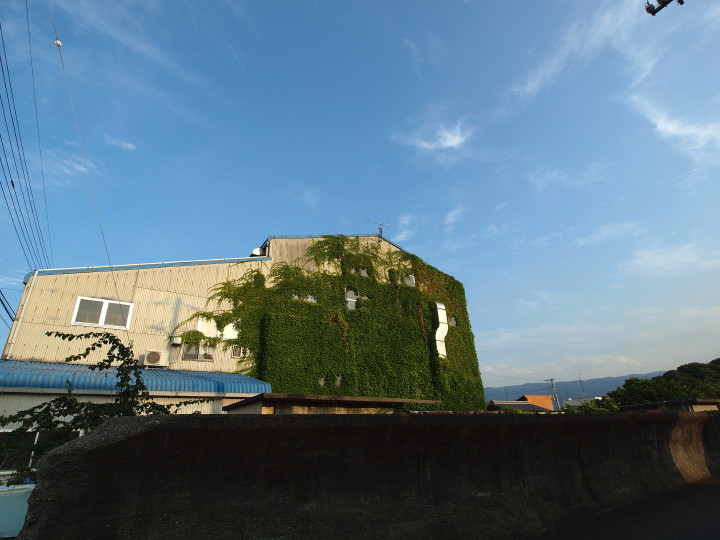 d0241937_1955310.jpg