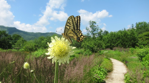 b0178339_15335773.jpg