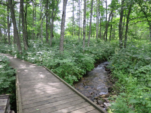 b0178339_15484256.jpg