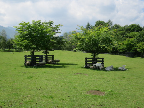 b0178339_16084991.jpg