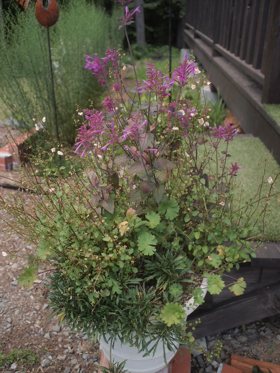 a0299945_21443713.jpg