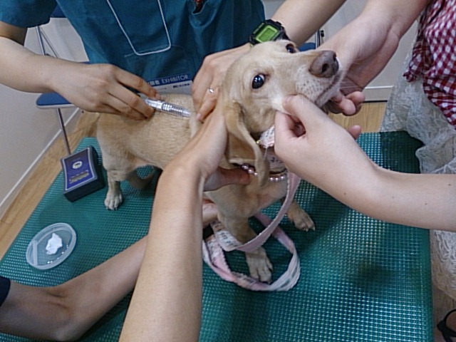c0245751_06491267.jpeg