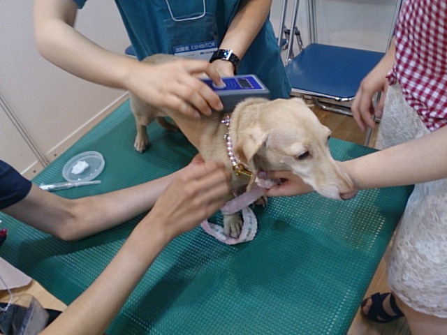 c0245751_06491877.jpeg