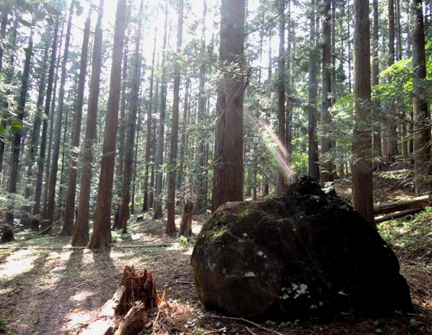 b0173754_11185272.jpg