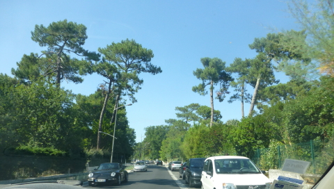 b0296855_21240069.jpg