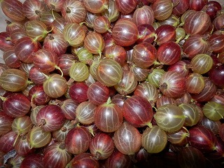 e0004756_2038343.jpg