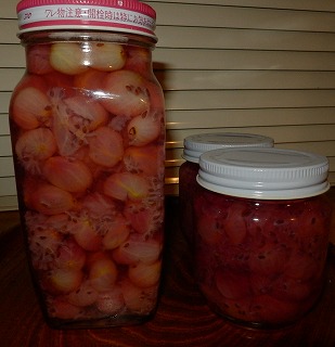 e0004756_20544560.jpg