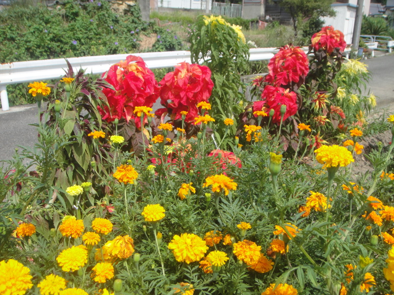 c0108460_16041233.jpg
