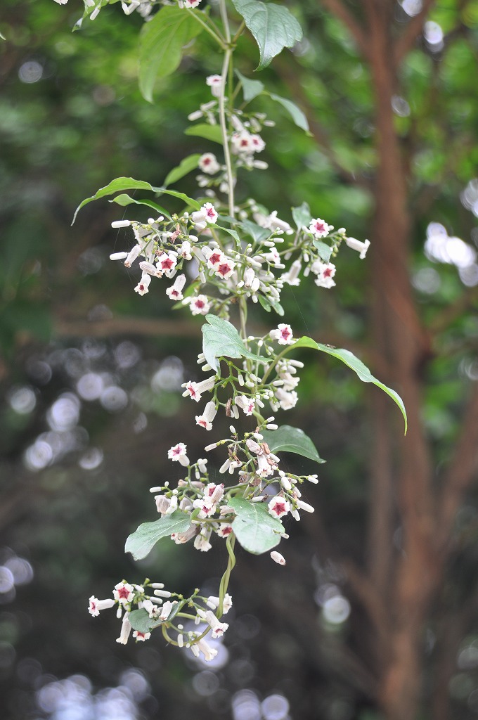 b0104861_19315251.jpg