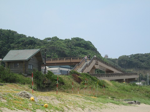 d0029363_2151356.jpg