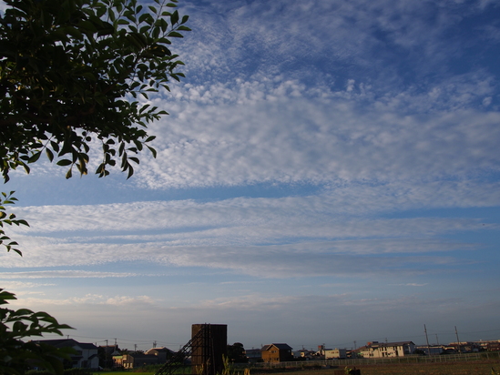 b0194267_20112343.jpg