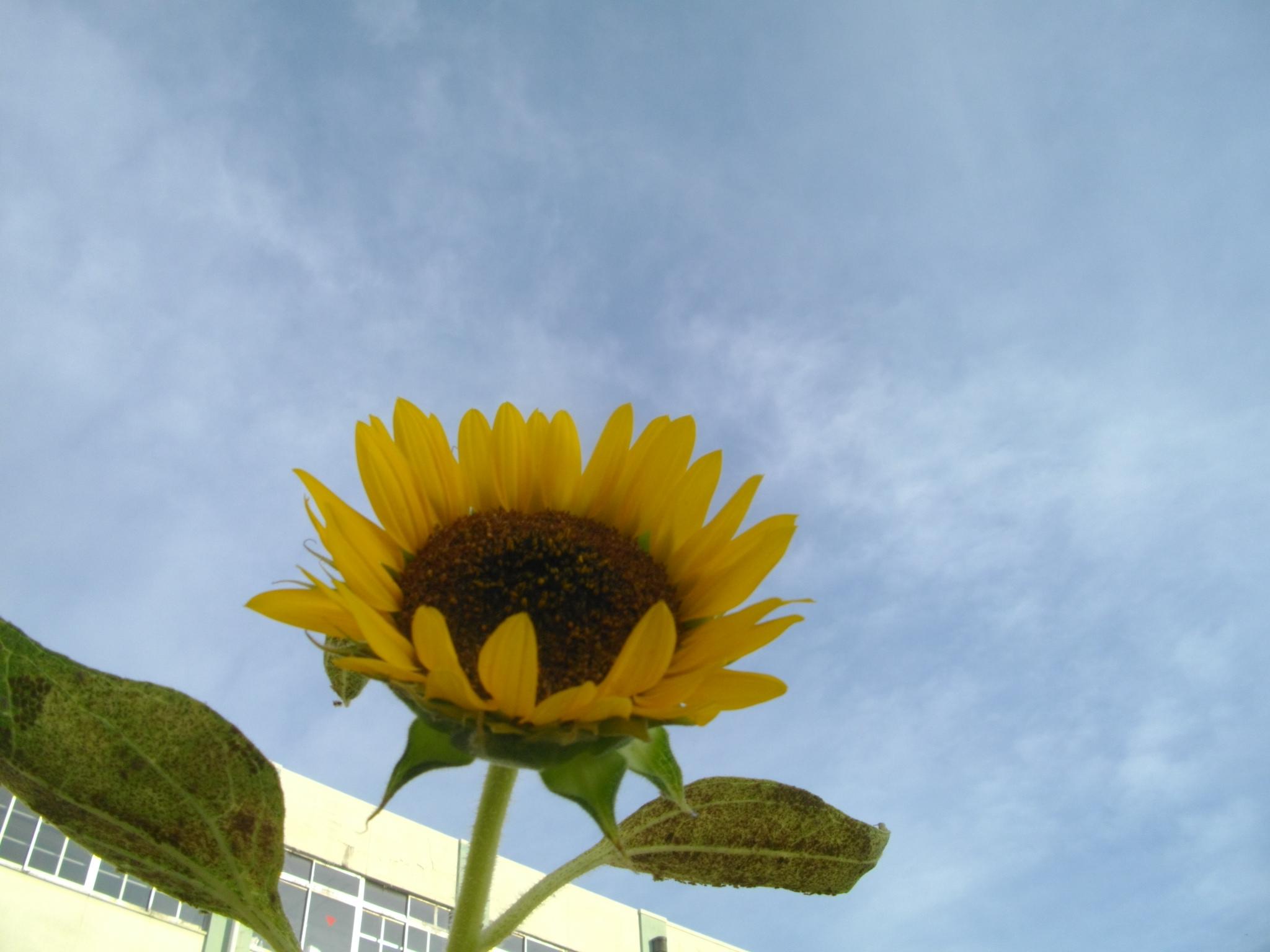 e0265768_1816841.jpg