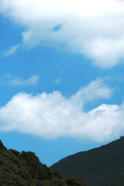 a0216469_13221228.jpg