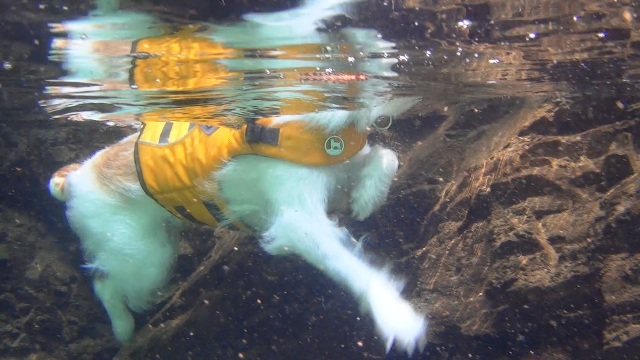 a0216469_13225966.jpg