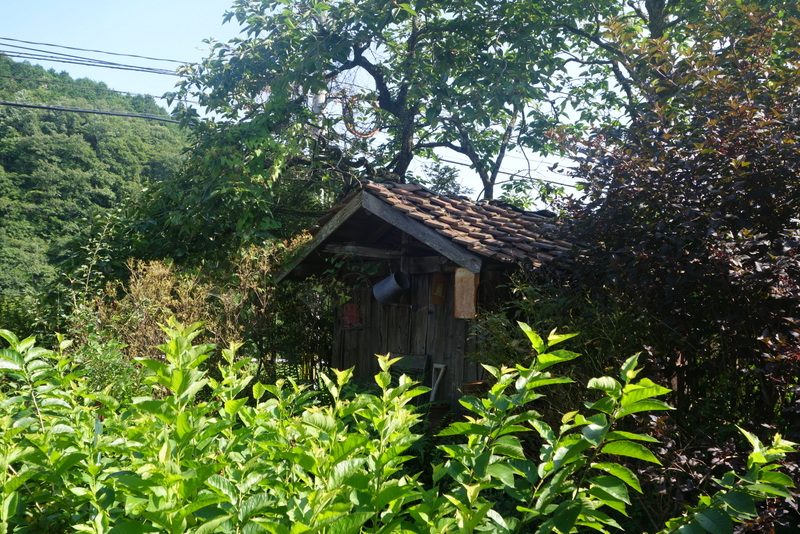 c0216472_10145918.jpg
