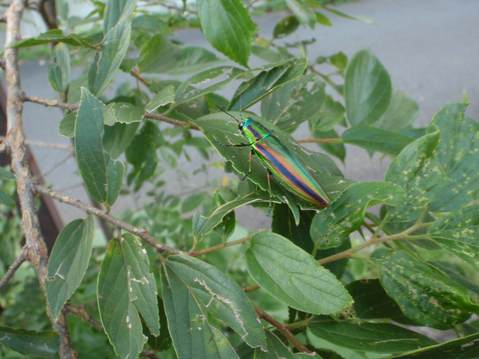 f0224772_22474658.jpg