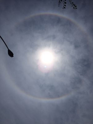 b0161073_1271121.jpg