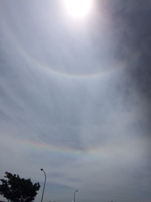 b0161073_127831.jpg