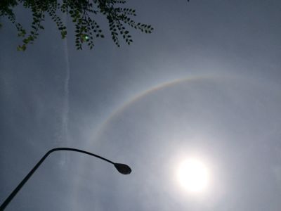 b0161073_127856.jpg
