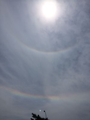 b0161073_127949.jpg
