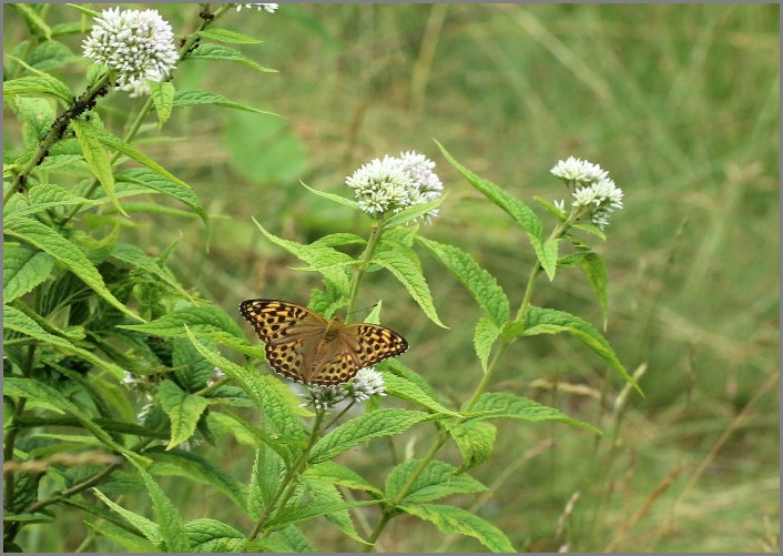 f0181173_21133050.jpg