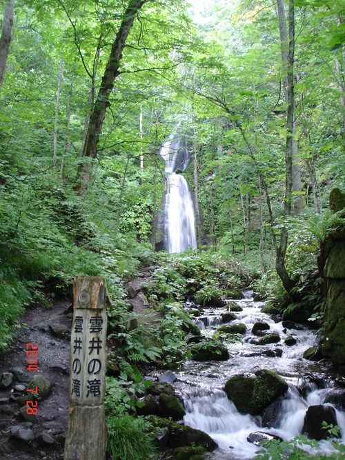 d0165378_12522938.jpg