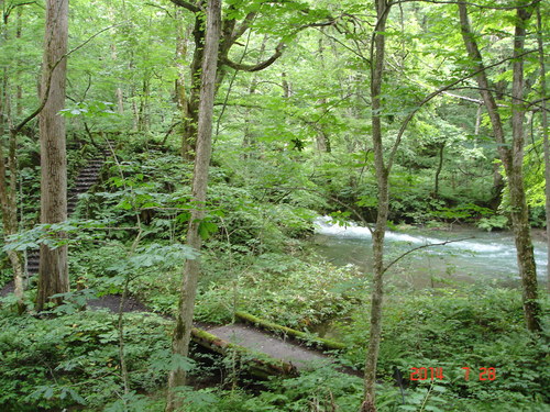 d0165378_142068.jpg