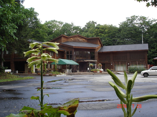 d0165378_1423058.jpg