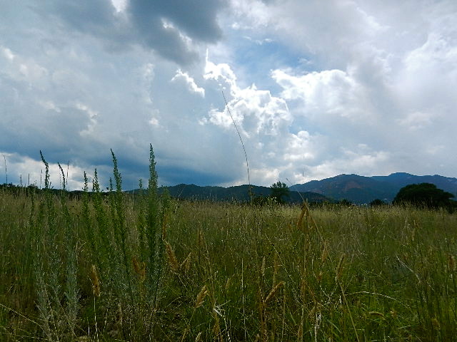 d0260278_86772.jpg