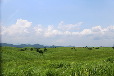 c0152779_9395856.jpg
