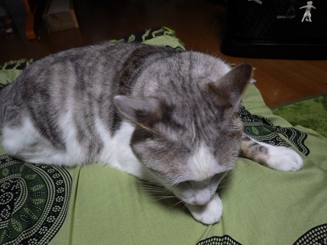 a0159490_16203719.jpg