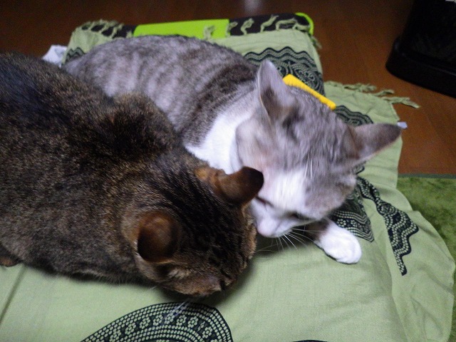a0159490_1621150.jpg