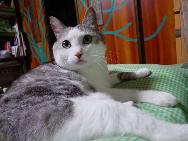 a0159490_1642155.jpg