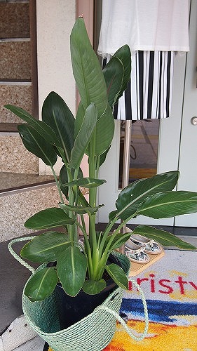 c0223091_18142090.jpg