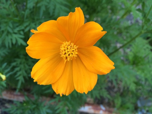 f0201297_21005188.jpg
