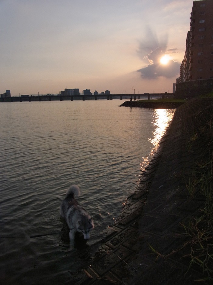 c0049299_21202545.jpg