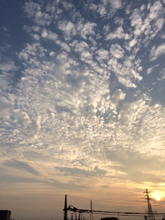b0189200_1843469.jpg