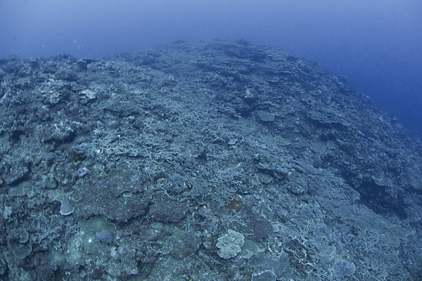 a0060407_1145220.jpg