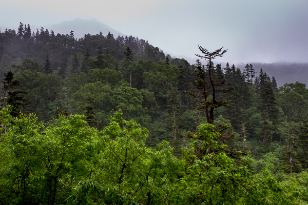 b0244811_23463218.jpg