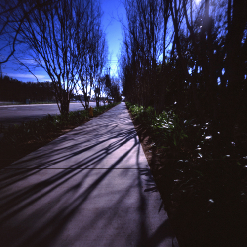 c0016712_19494512.jpg