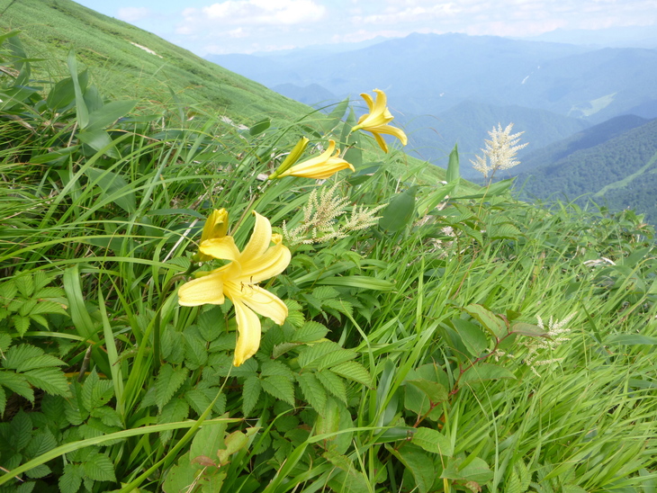 d0170615_17224046.jpg