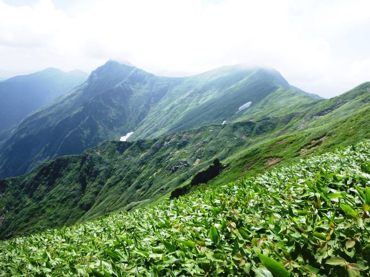 d0170615_17225346.jpg
