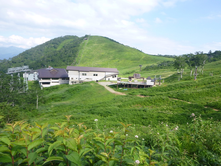 d0170615_1723158.jpg