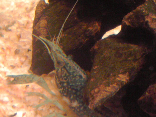 a0291521_111545.jpg
