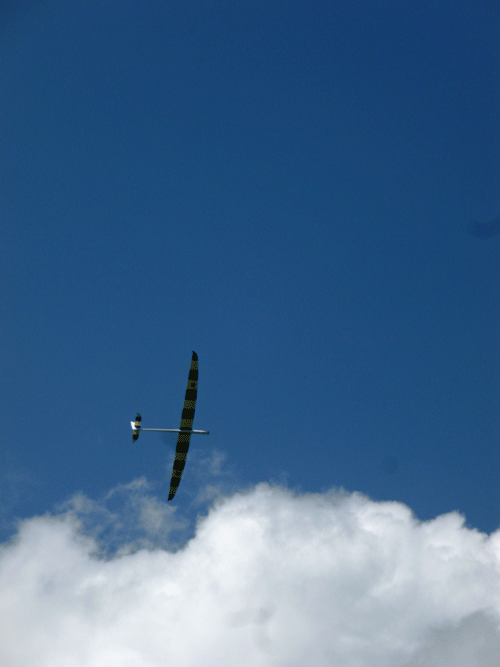 e0312121_19205758.gif
