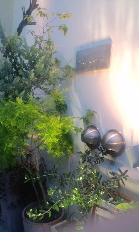 e0050324_8213387.jpg