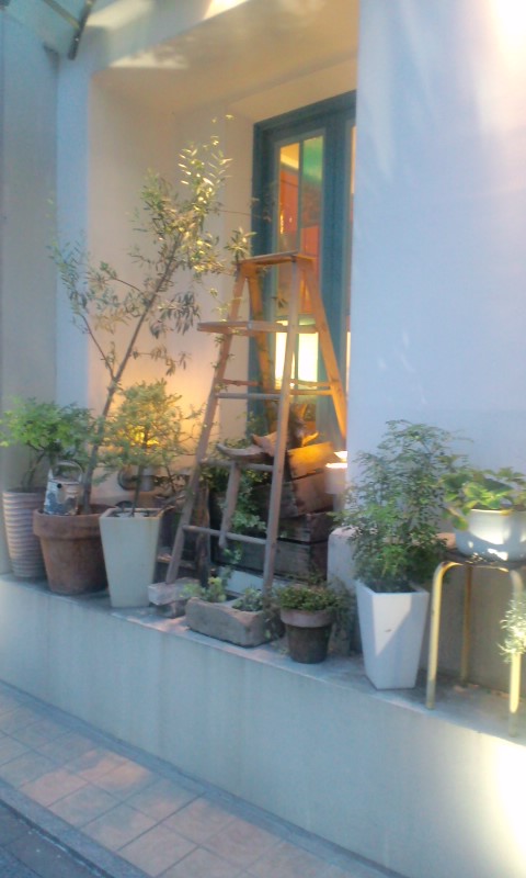 e0050324_822871.jpg